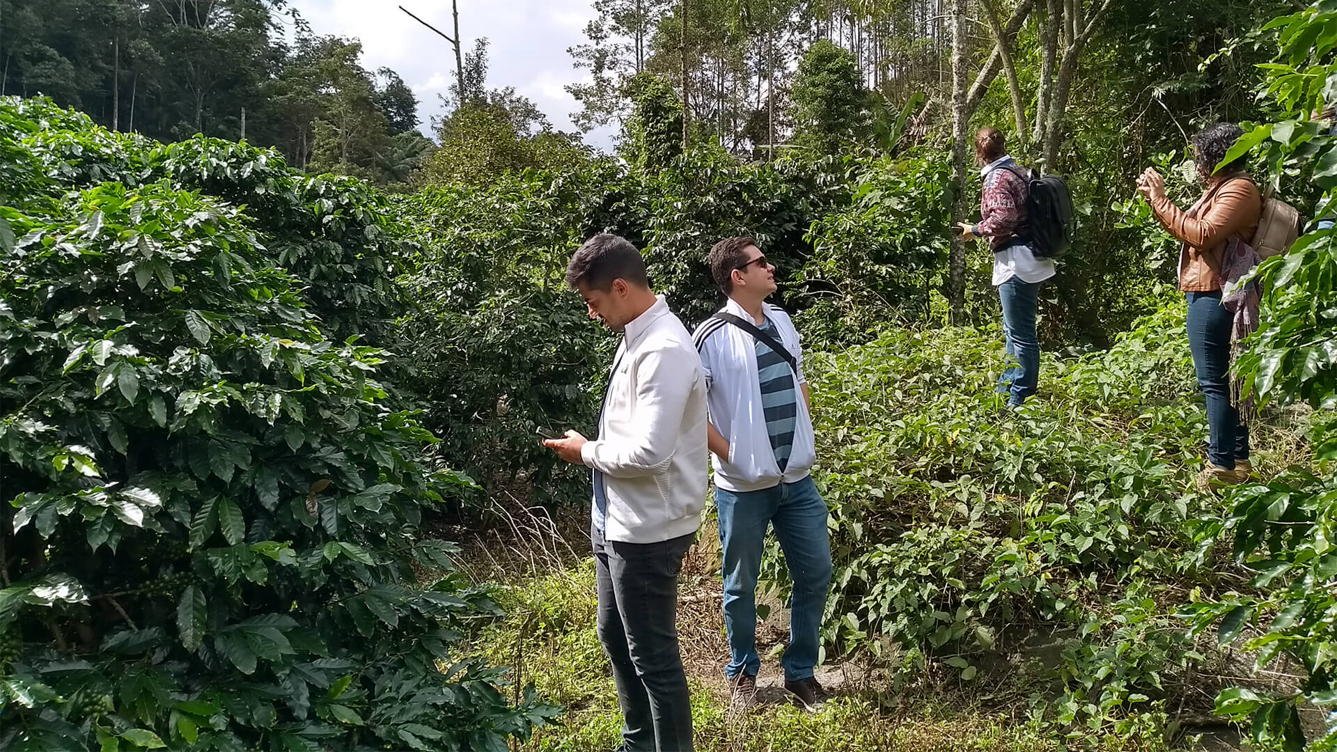 pessoas na plantacao de cafe vale dos barbados